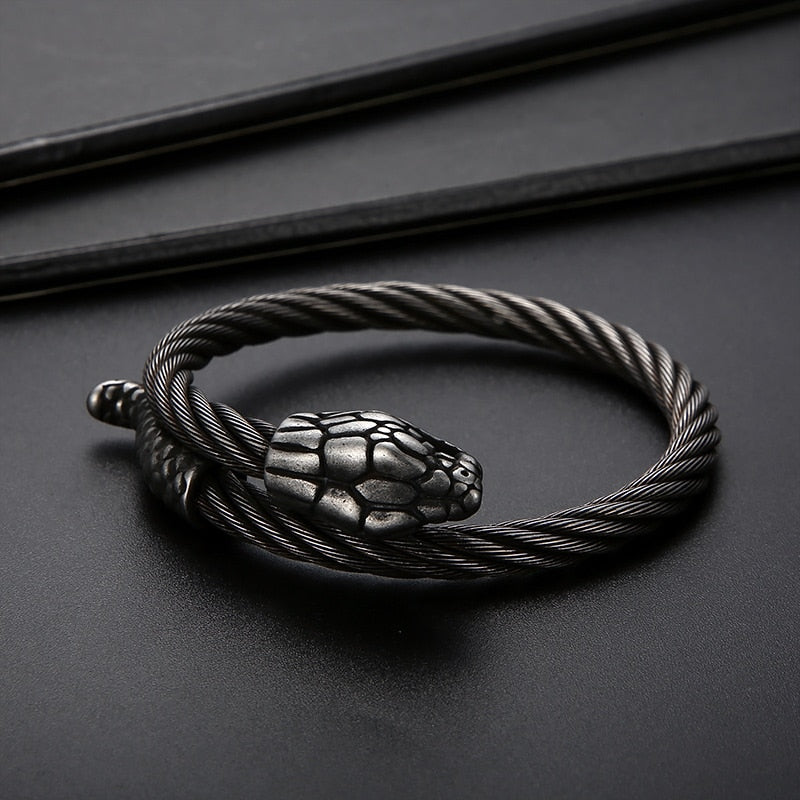 Punk Animal Snake Men's Spiral Twisted Chain Bracelets Stainless Steel Cable Bracelets For Men Gothic Bangle Jewelry